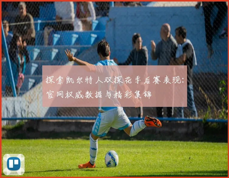 探索凯尔特人双探花季后赛表现：官网权威数据与精彩集锦