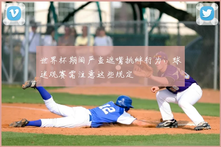 世界杯期间严查遮嘴挑衅行为，球迷观赛需注意这些规定