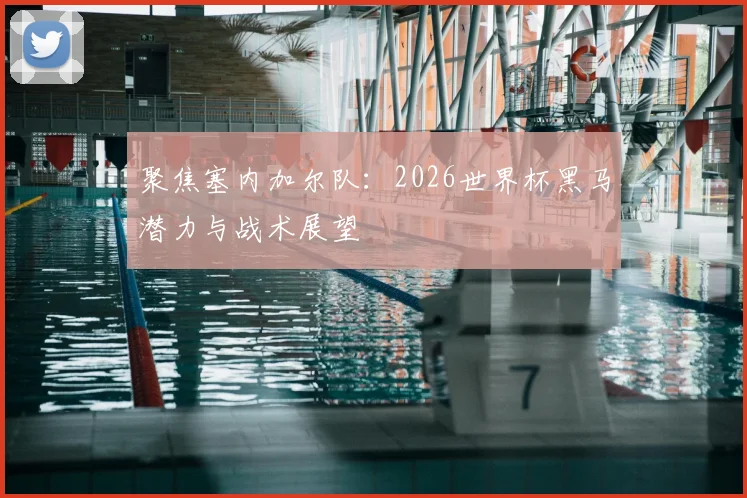 聚焦塞内加尔队：2026世界杯黑马潜力与战术展望
